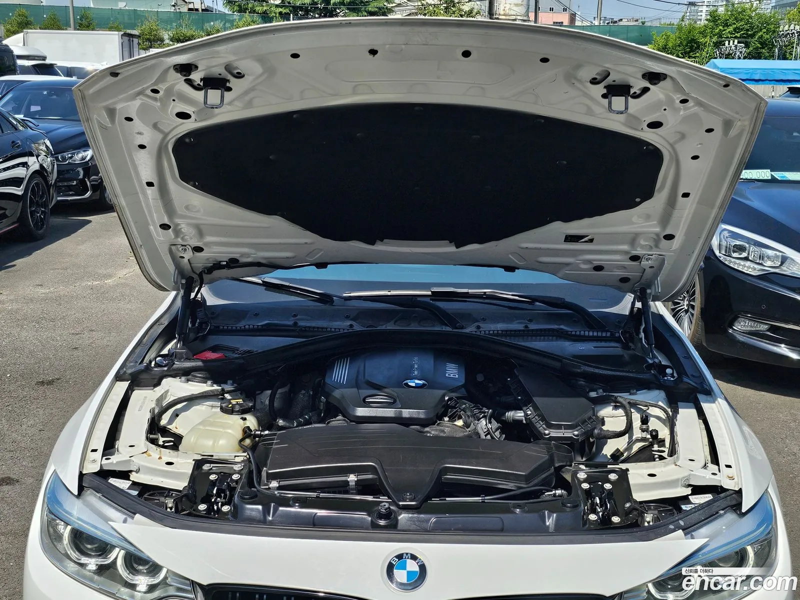 Korex Auto Trade - фотография 4743226