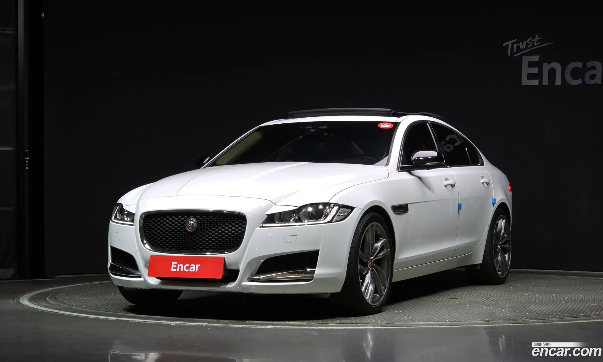 Xf X26020D Prestige - фотография 3526138