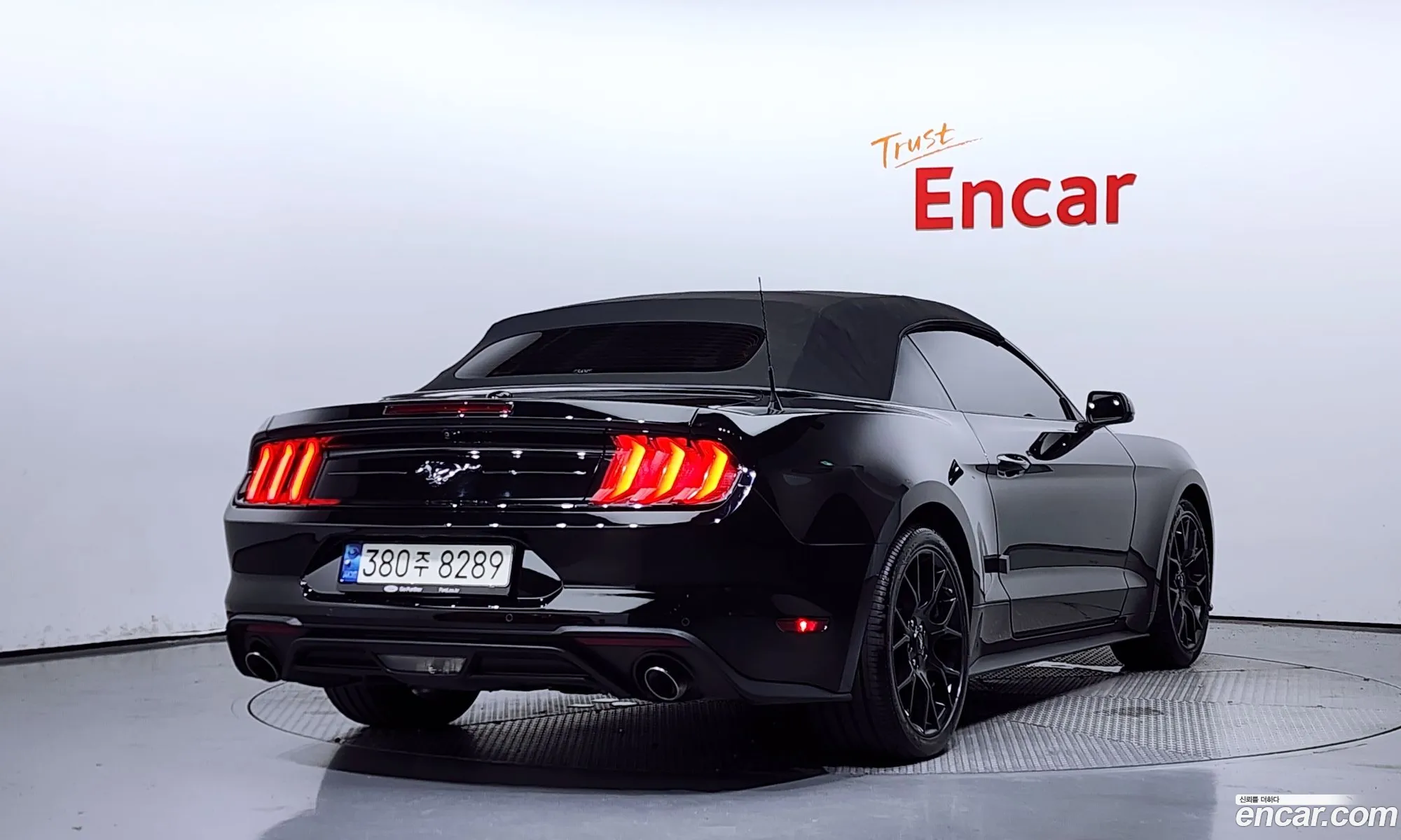 Ford Mustang Convertible - фотография 18052951