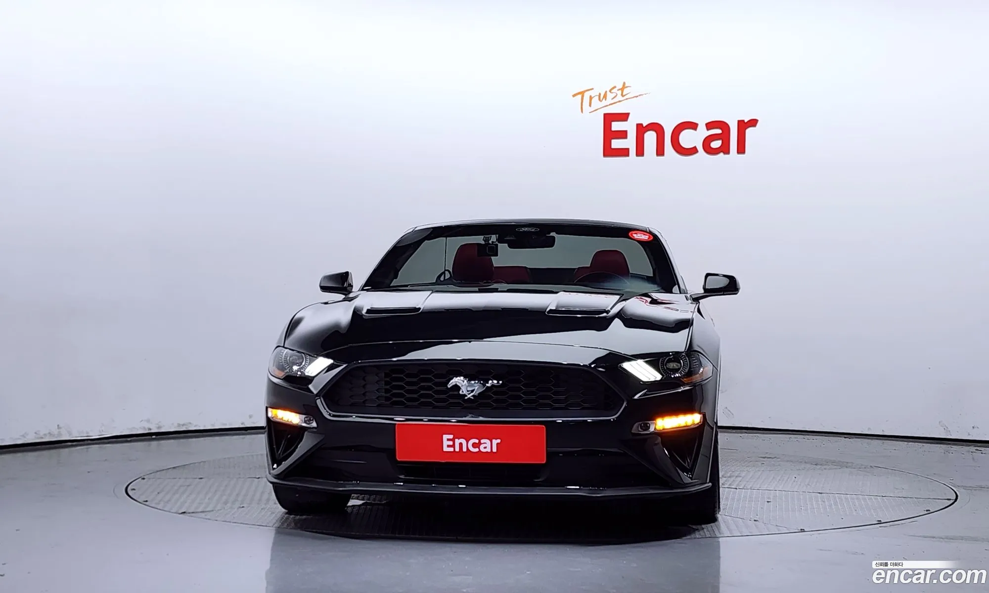 Ford Mustang Convertible - фотография 18052952