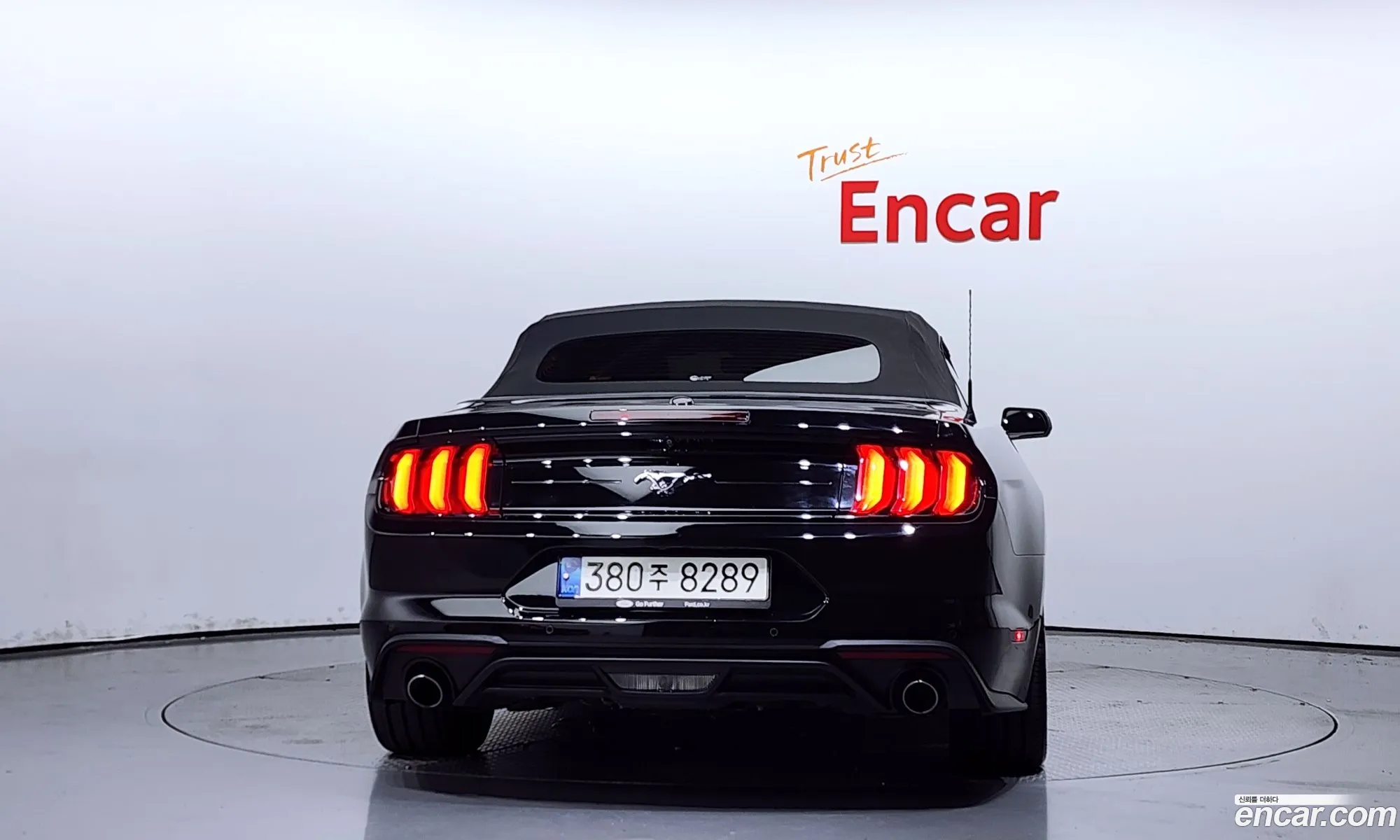Ford Mustang Convertible - фотография 18052953