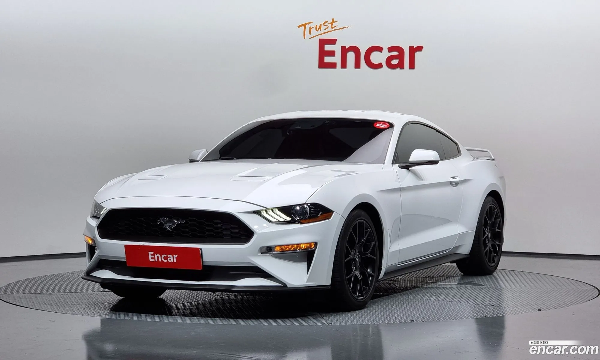 Ford Mustang Coupe - фотография 18052938