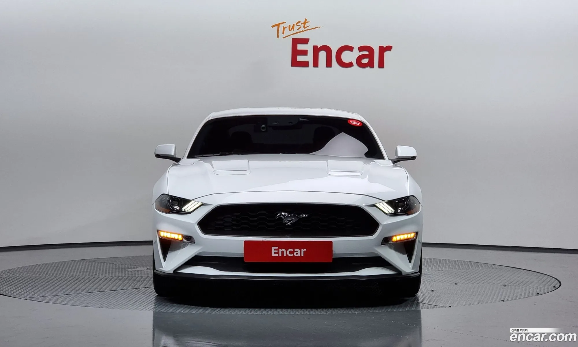 Ford Mustang Coupe - фотография 18052940