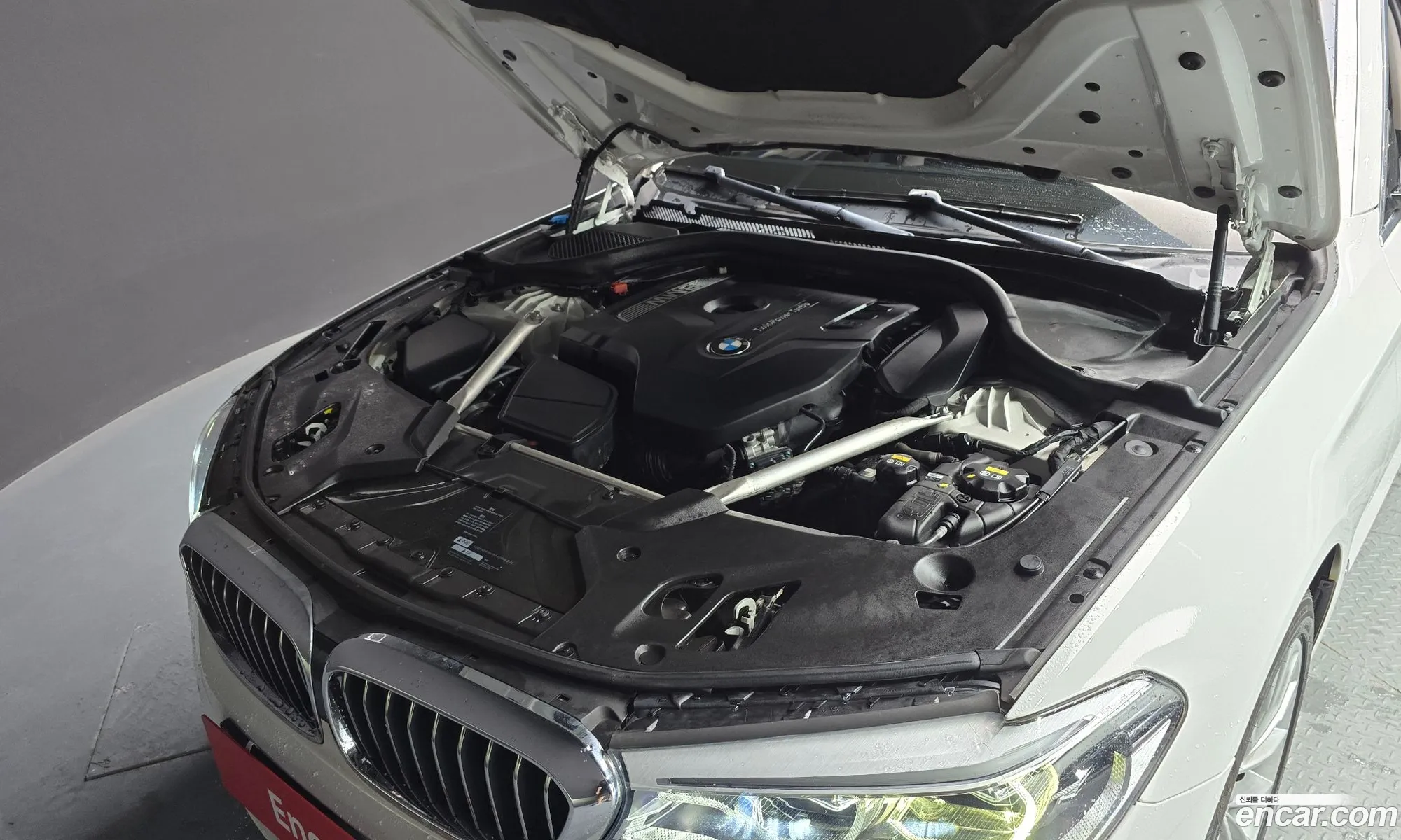 BMW 5 Series G30 530I Luxury Plus - фотография 2644665