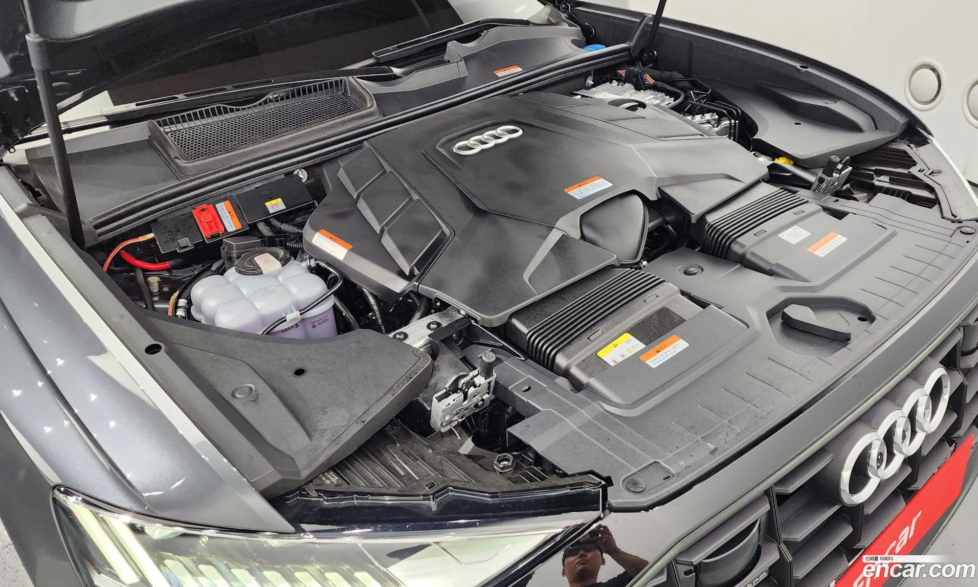 Audi Q8 4M 55 Tfsi Quattro Premium - фотография 1579140