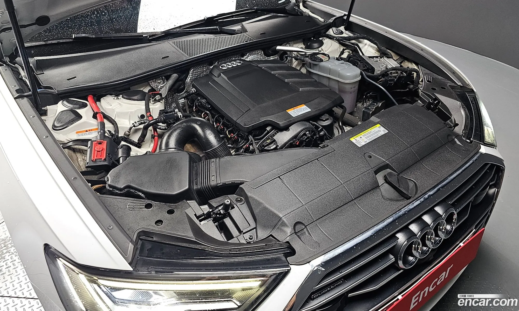 Audi A6 C8 45 Tfsi Quattro Premium - фотография 1561499