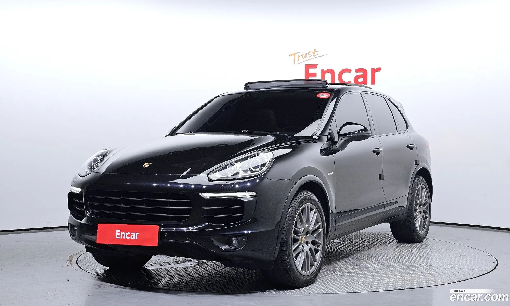 Porsche New Cayenne 30 Diesel Platinum Edition 958 - фотография 1039469