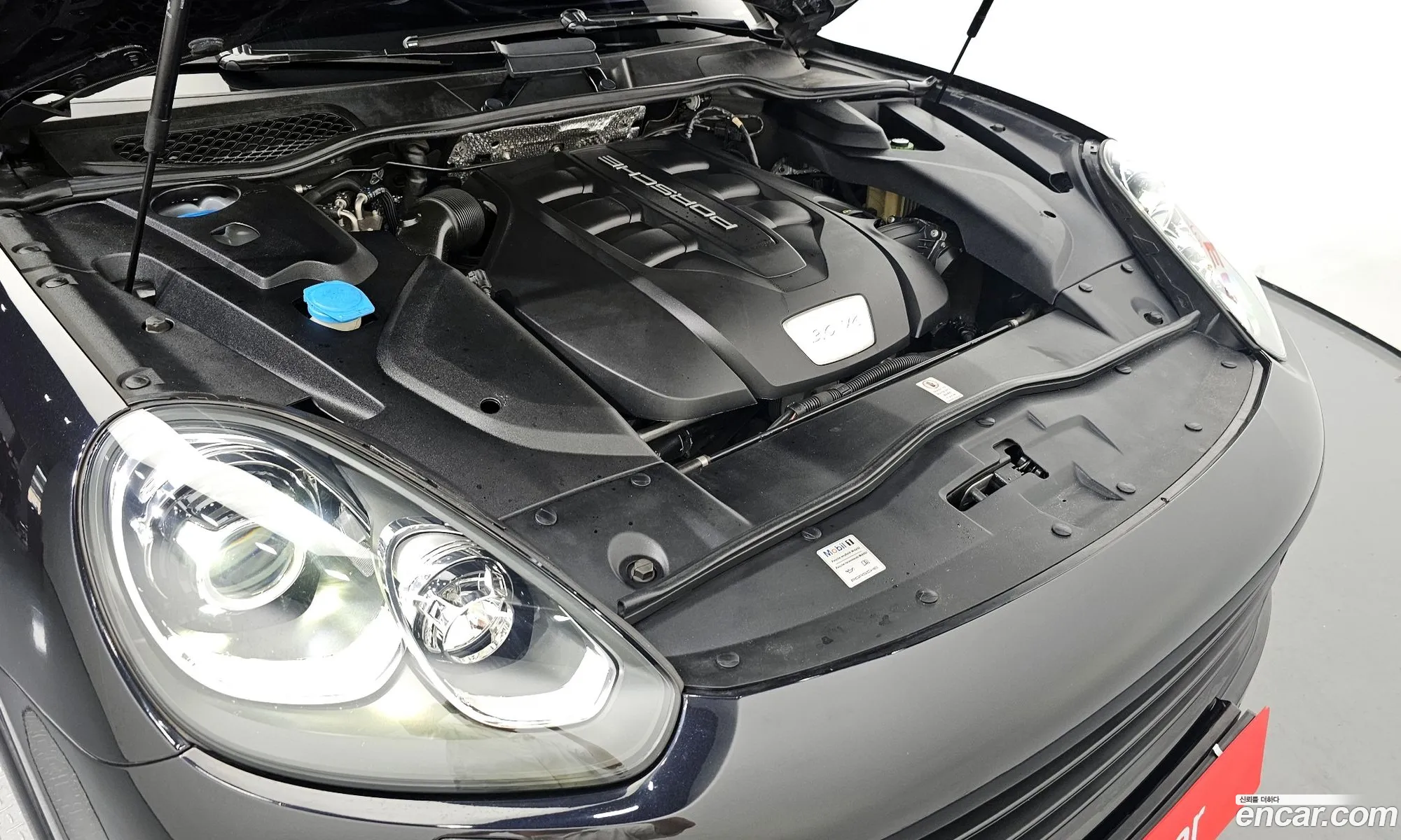Porsche New Cayenne 30 Diesel Platinum Edition 958 - фотография 1039474