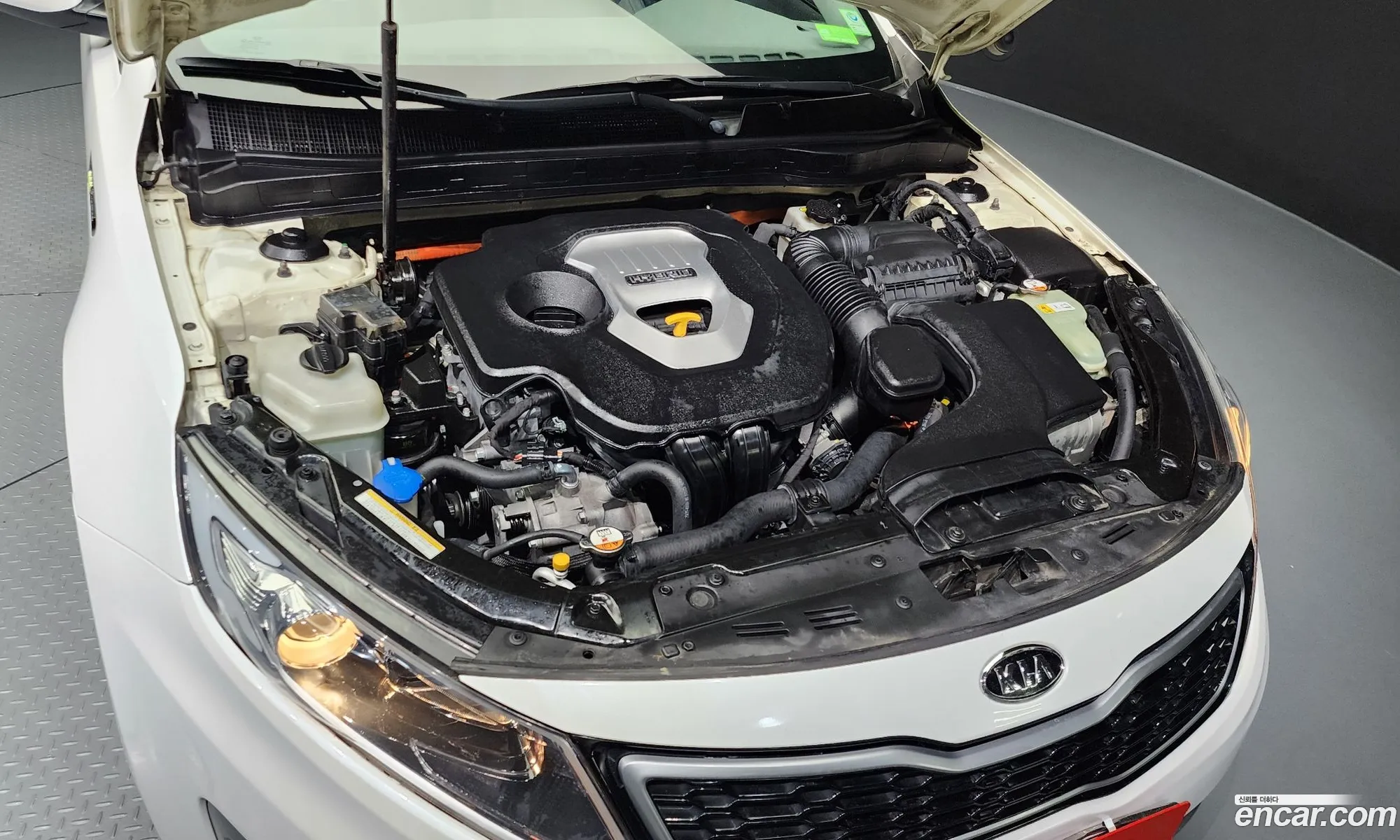 Kia K5 Hybrid Prestige - фотография 17538427