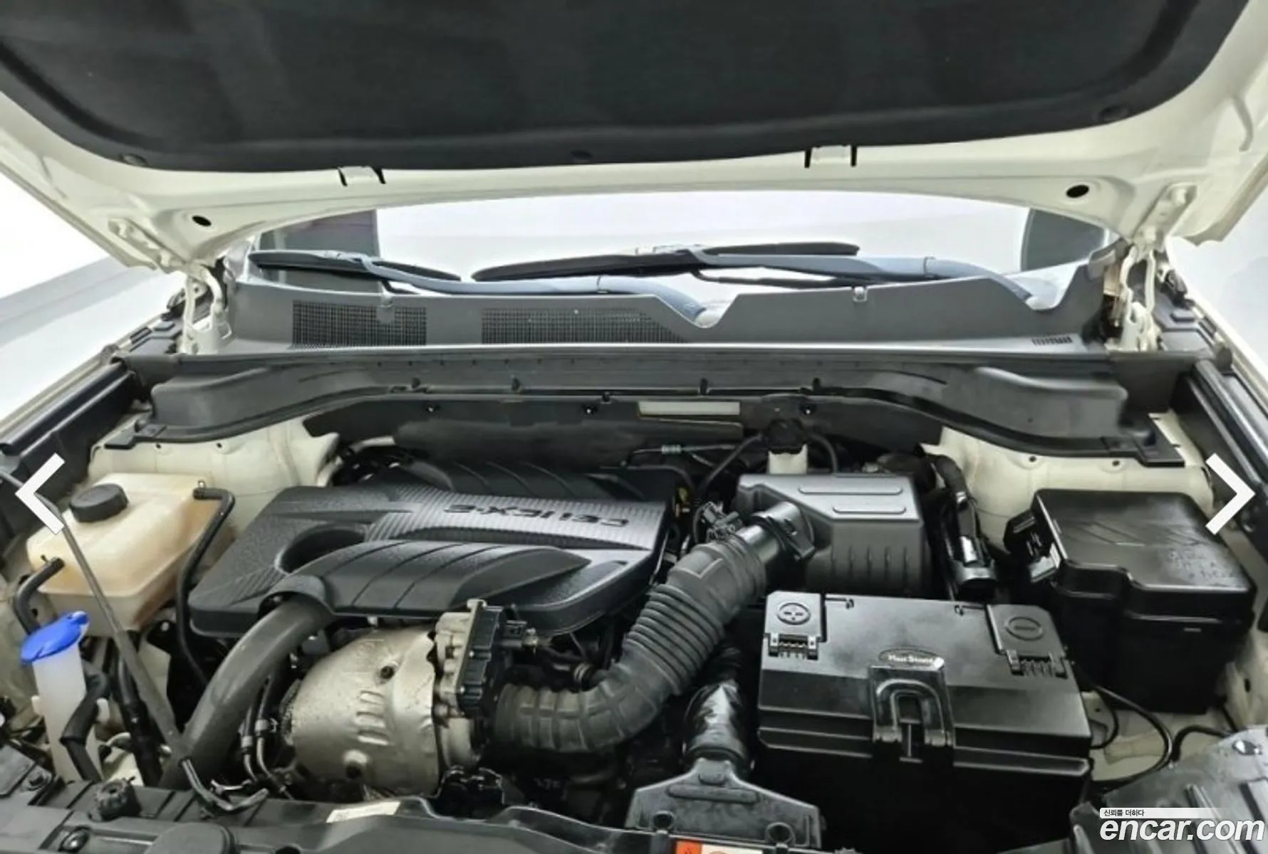 Kg Mobility Ssangyong Beautiful Korando Diesel 16 2Wd Delight Plus - фотография 5141152