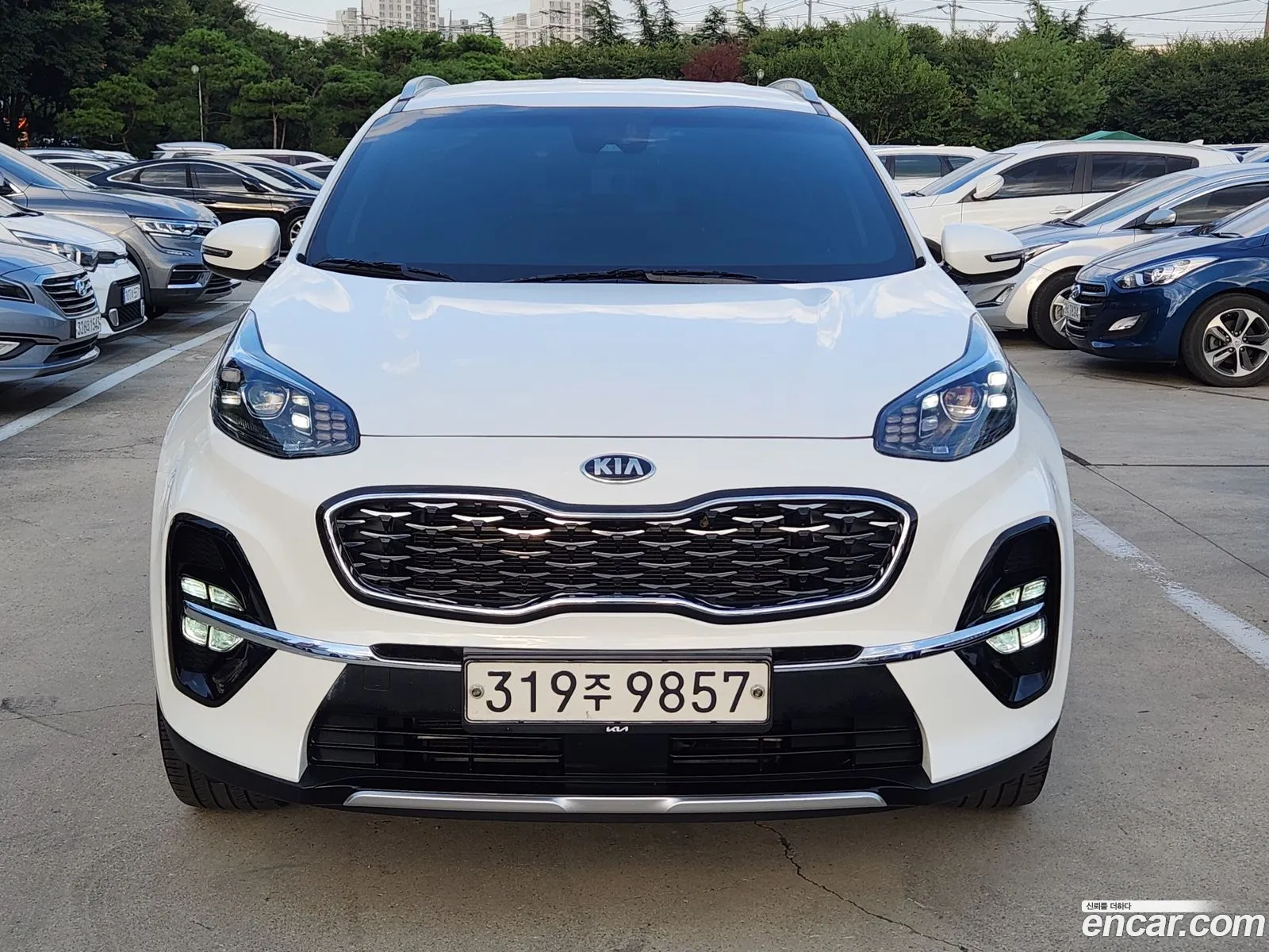 Kia Sportage The Bold Gasoline 20 2Wd Prestige - фотография 12542026