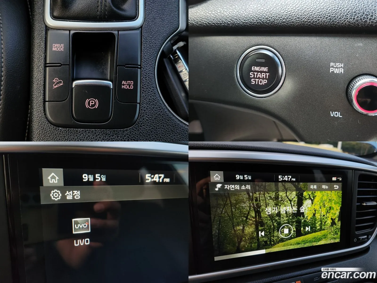 Korex Auto Trade - фотография 12573418