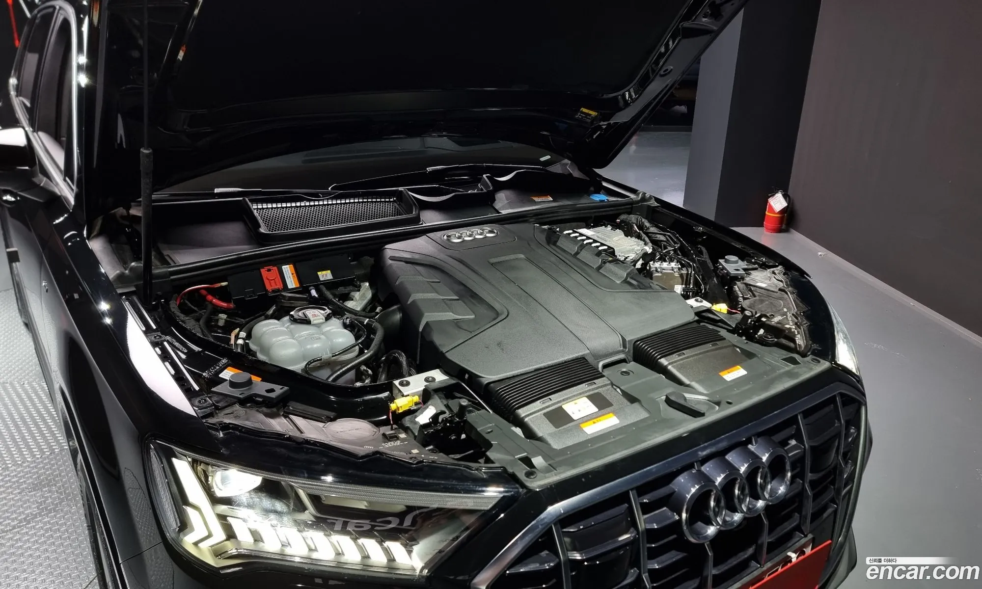 Korex Auto Trade - фотография 7337844