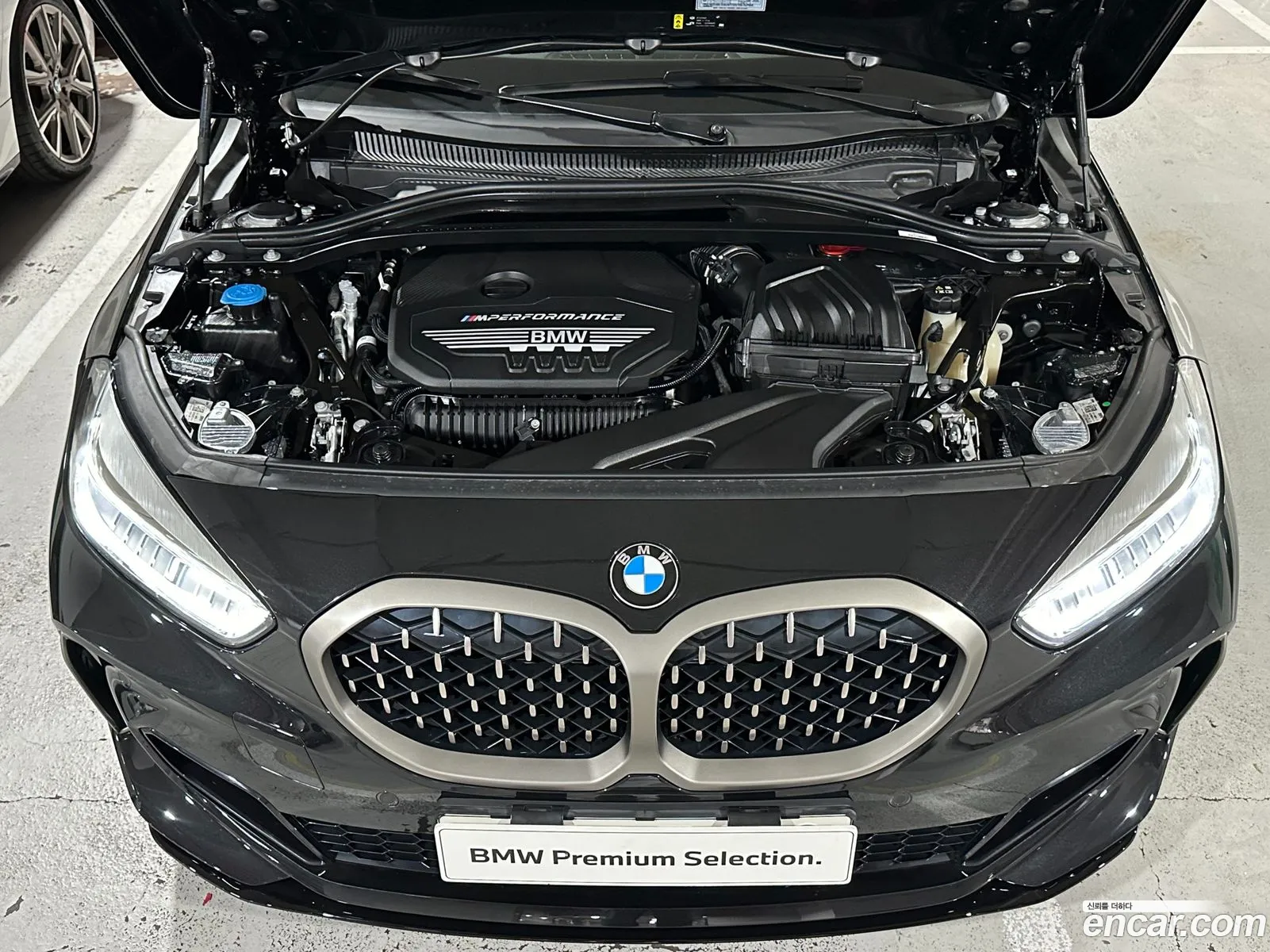 BMW 1 Series F40 M135I xDrive - фотография 12590657