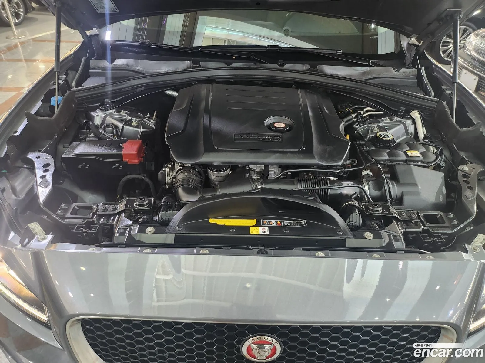 Jaguar F-Pace 20D Portfolio - фотография 4196716