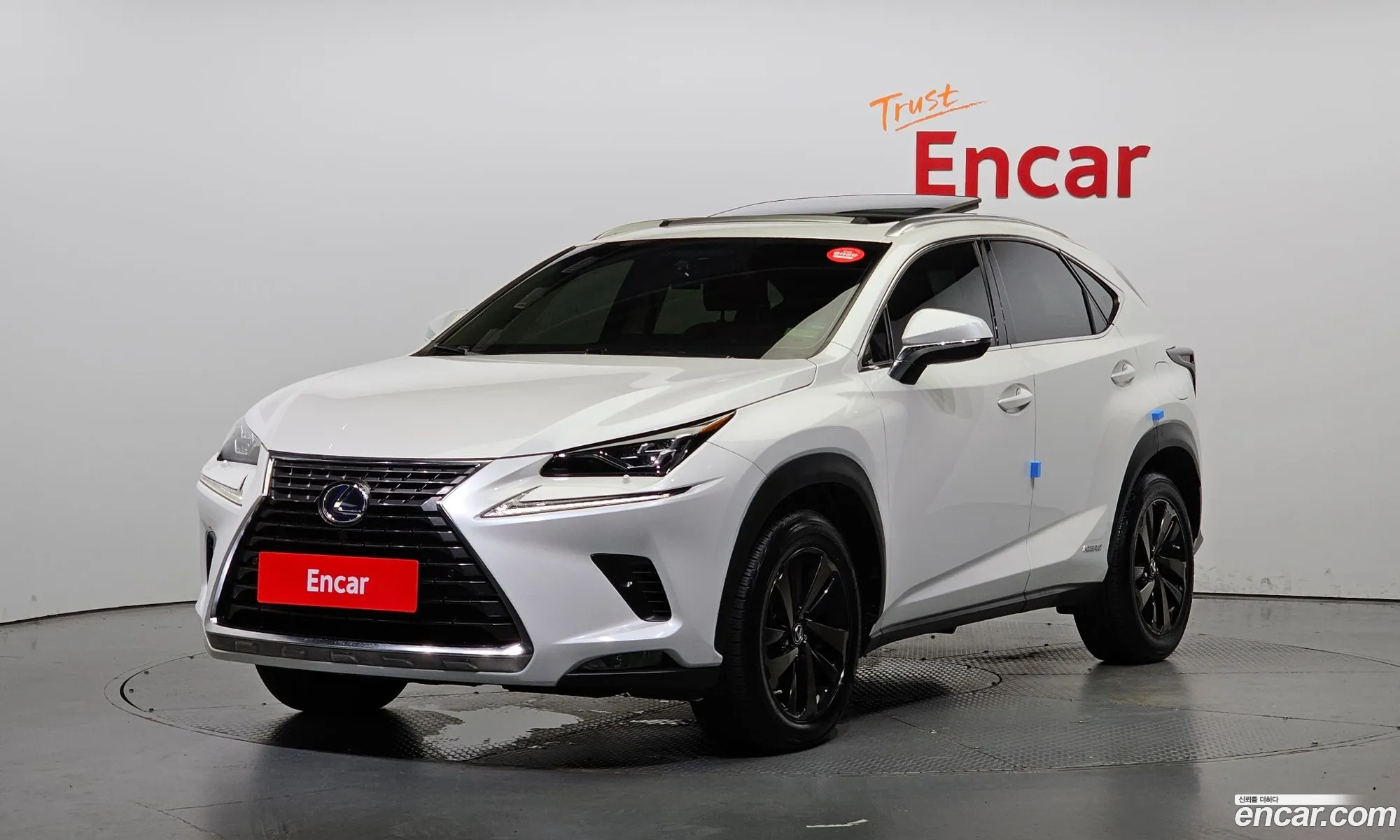 Lexus Nx300H Executive - фотография 6570236