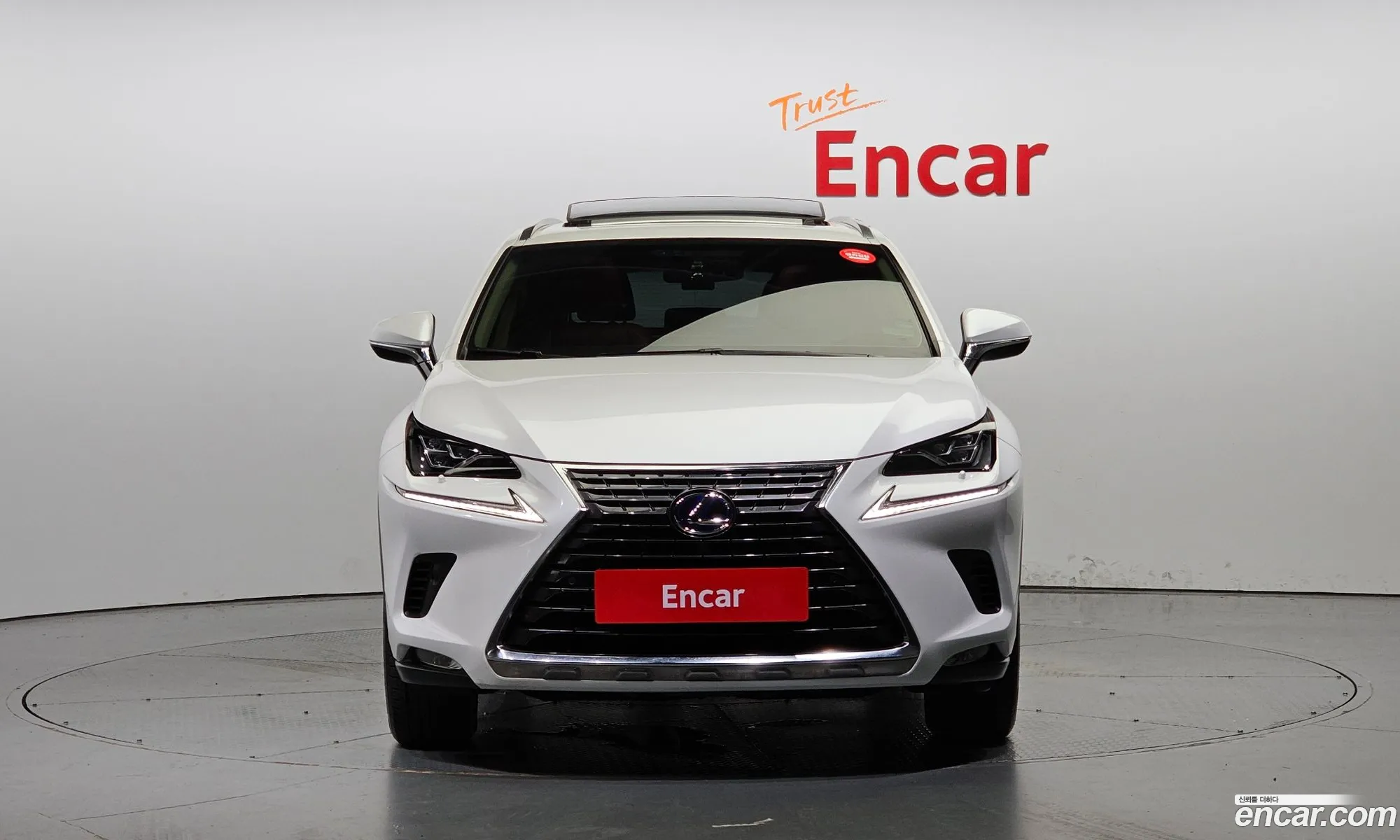 Lexus Nx300H Executive - фотография 6570238