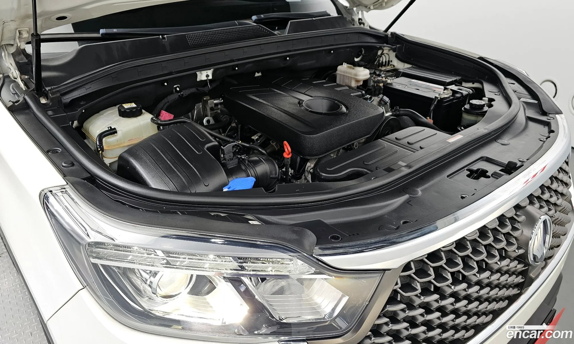 Kg Mobility Ssangyong G4 Rexton Diesel 22 4Wd White Edition - фотография 4773458