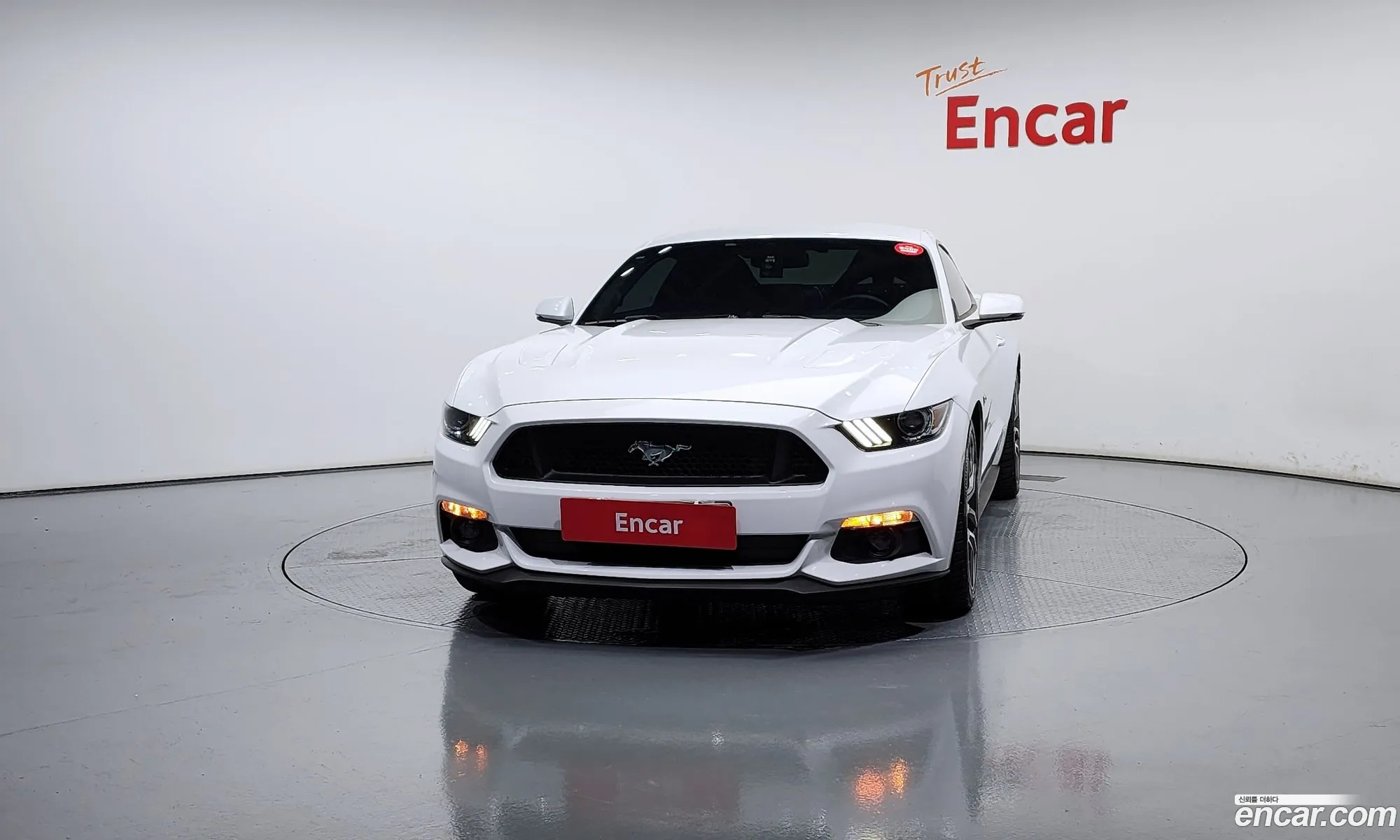 Ford Mustang Gt Coupe - фотография 17326664