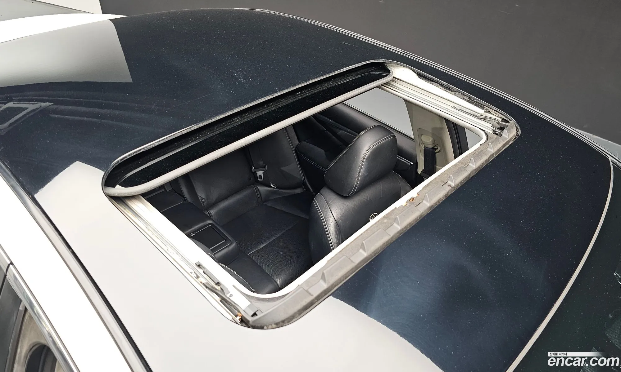 Korex Auto Trade - фотография 4752306