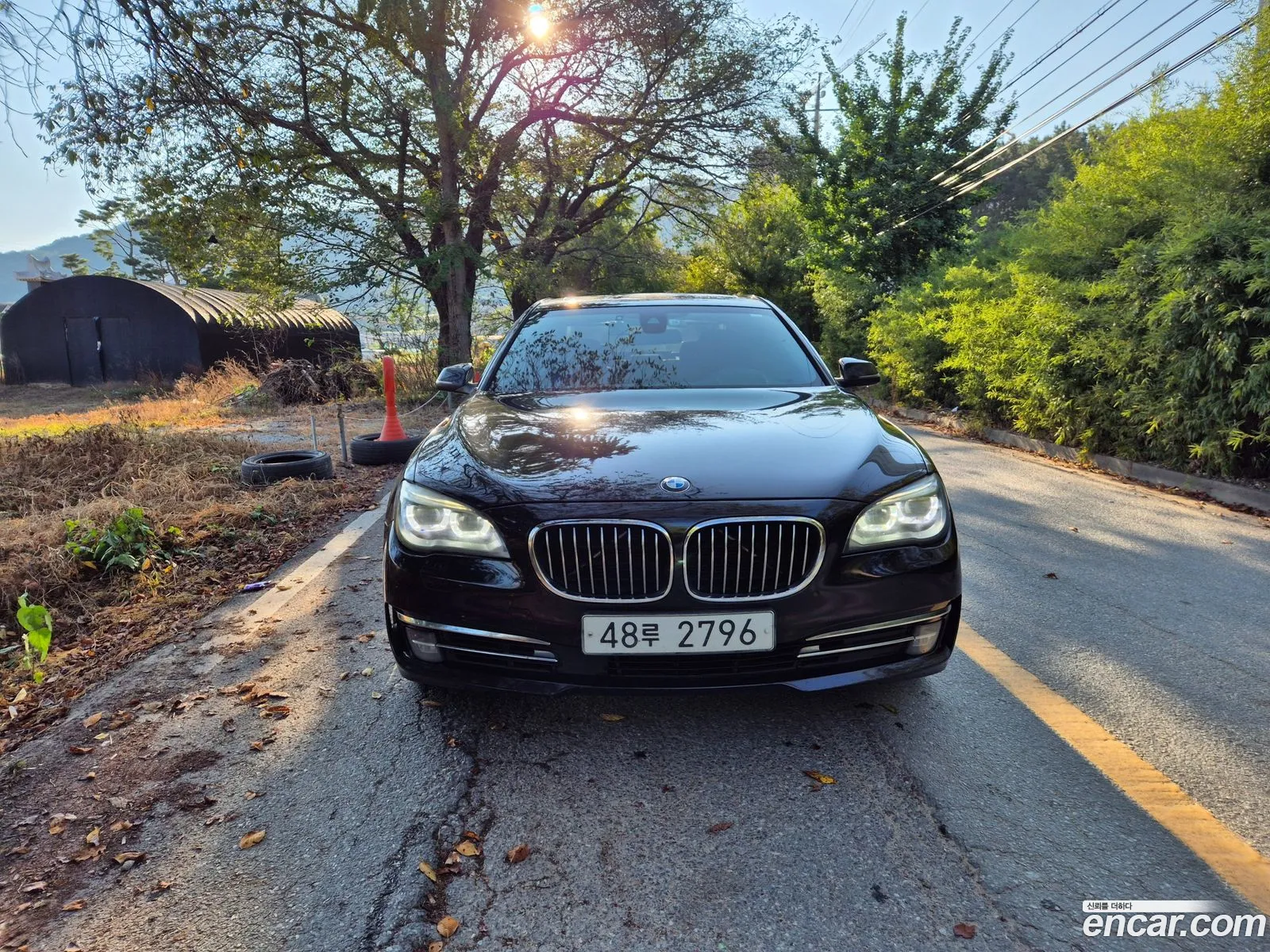 BMW 7 Series F01 740D xDrive - фотография 12009295