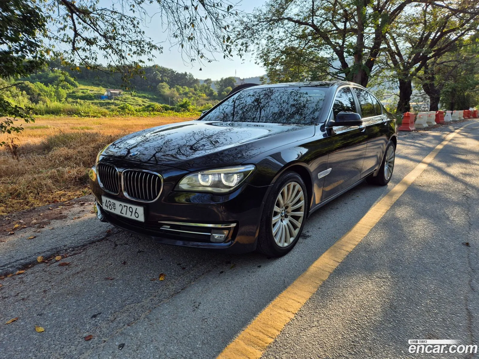 BMW 7 Series F01 740D xDrive - фотография 12009296