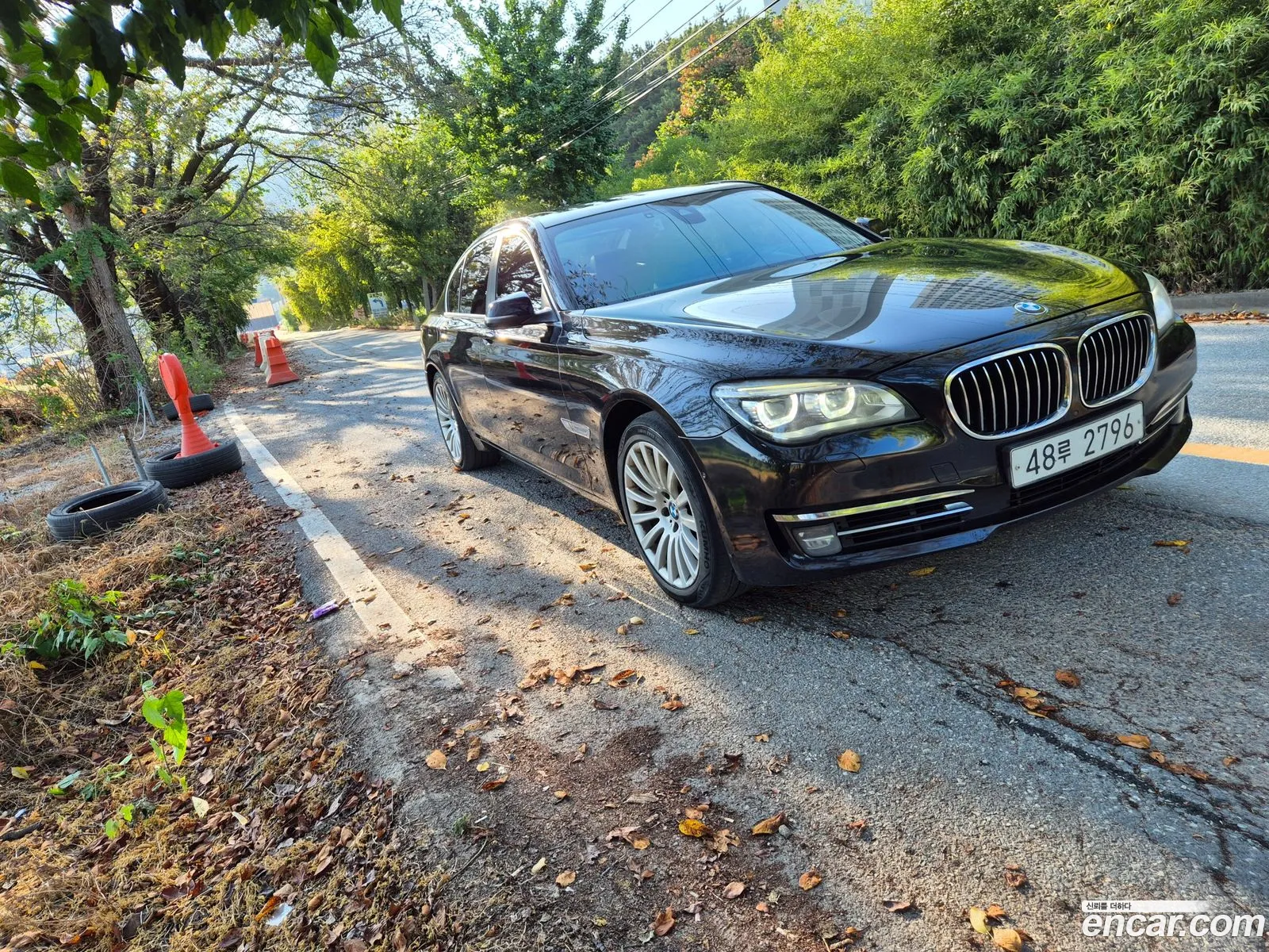 BMW 7 Series F01 740D xDrive - фотография 12009297