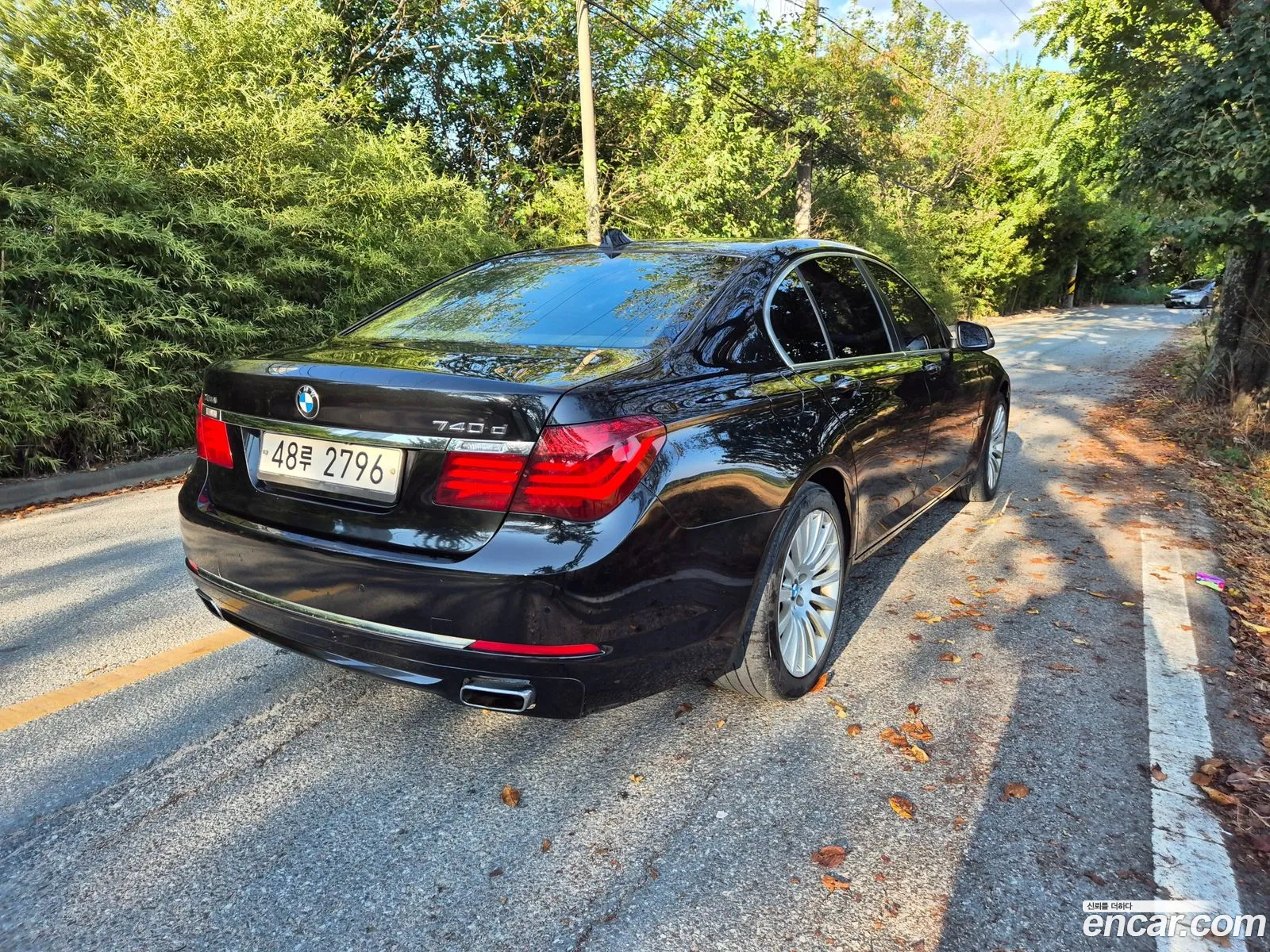 BMW 7 Series F01 740D xDrive - фотография 12009299
