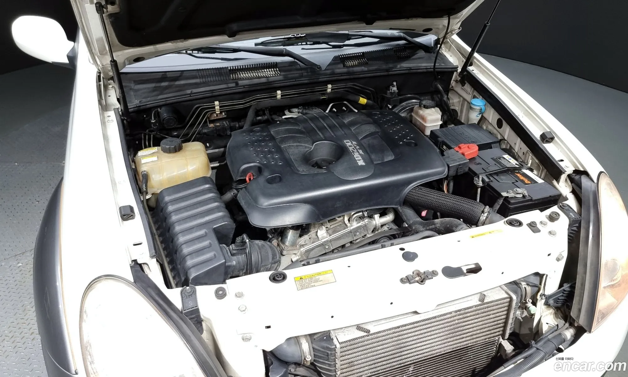 Kg Mobility Ssangyong Super Rexton 4Wd Rx4 Brown Edition - фотография 4750366