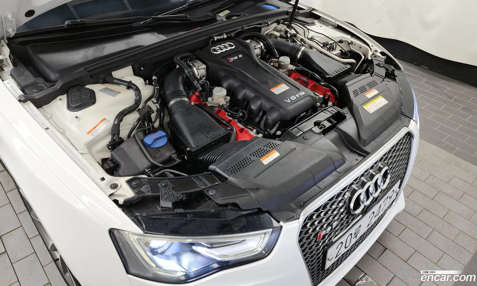 Audi Rs5 42 Fsi Quattro 8T3 - фотография 12664874