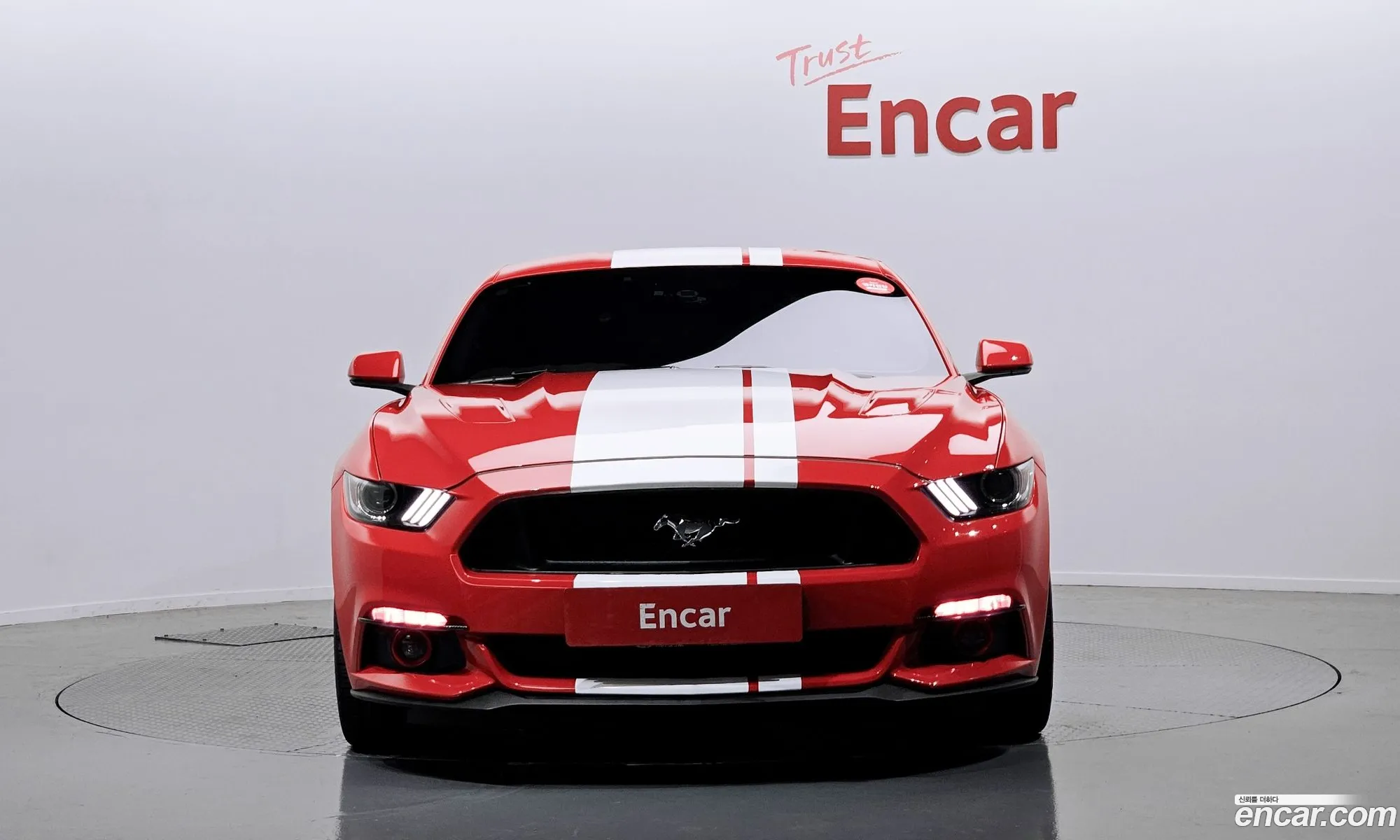 Ford Mustang Gt Coupe - фотография 17326640