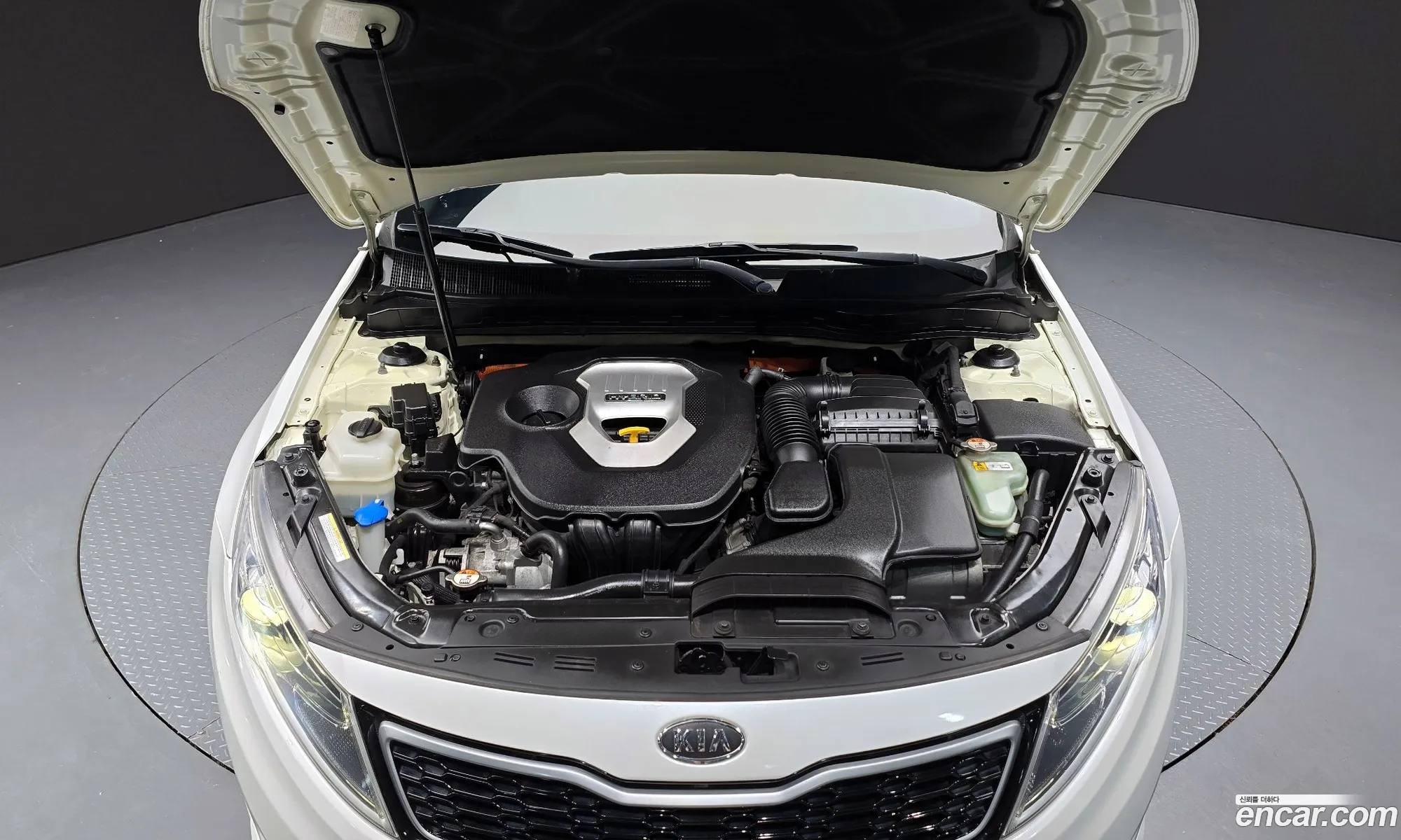 Kia K5 Hybrid Noblesse - фотография 12845274