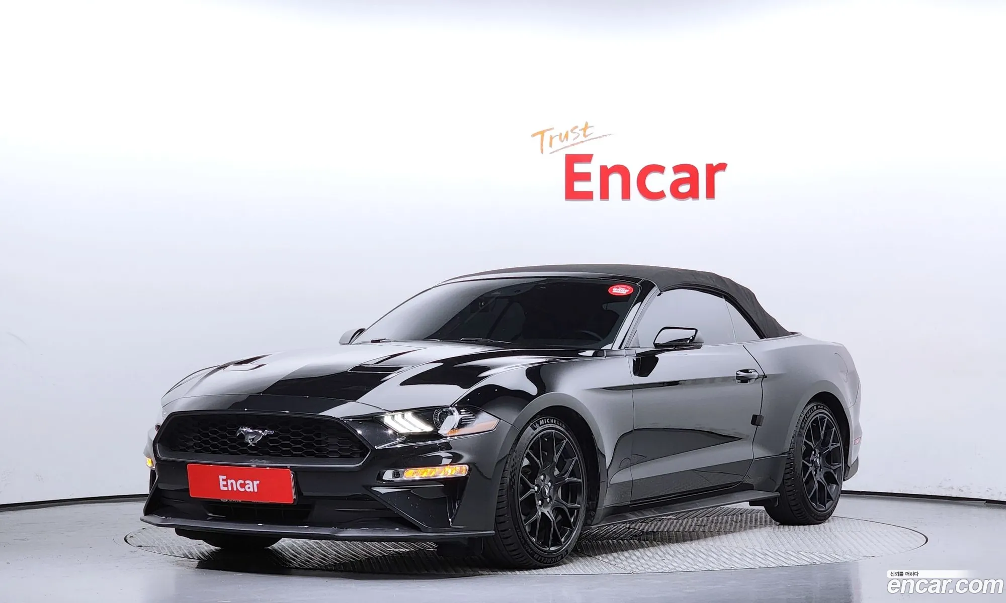 Ford Mustang Convertible - фотография 17326626