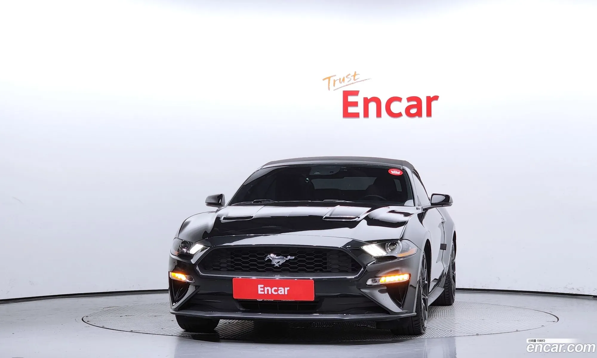Ford Mustang Convertible - фотография 17326628