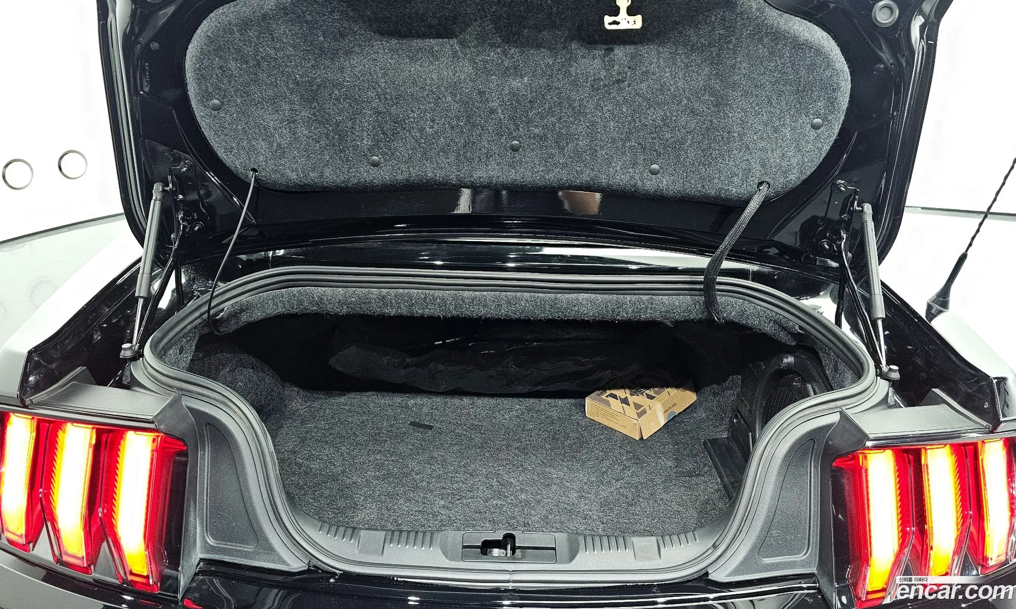 Korex Auto Trade - фотография 17441314