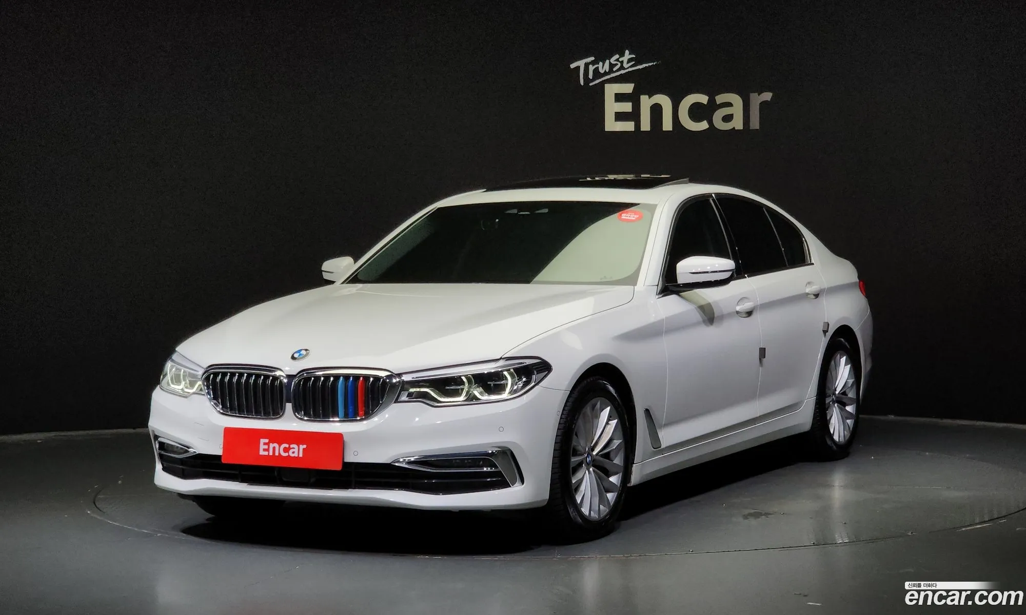 BMW 5 Series G30 530I Luxury Plus - фотография 119434