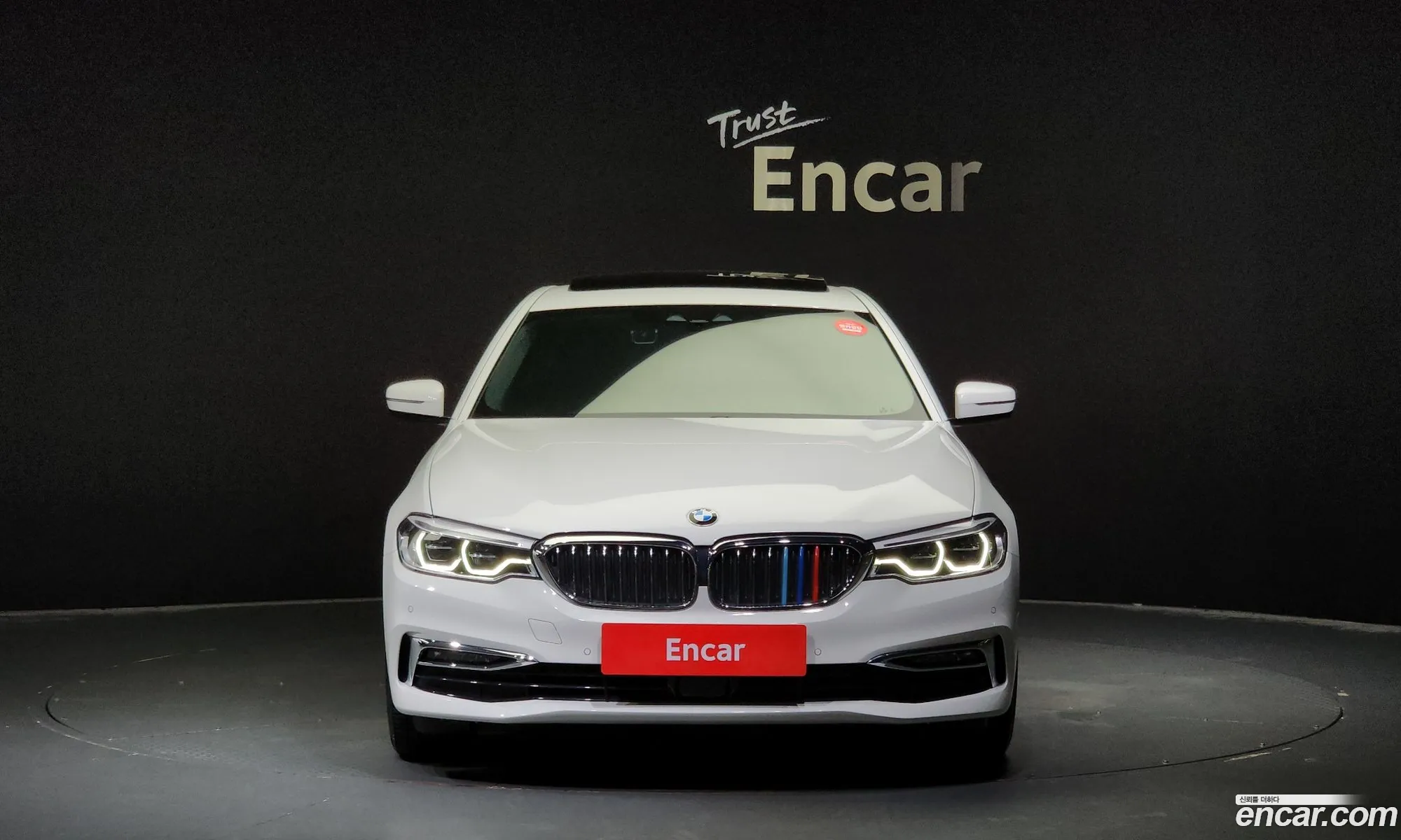 BMW 5 Series G30 530I Luxury Plus - фотография 119436