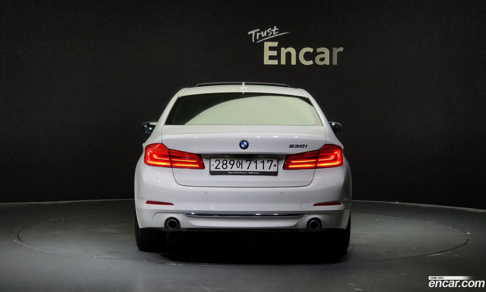 BMW 5 Series G30 530I Luxury Plus - фотография 119437