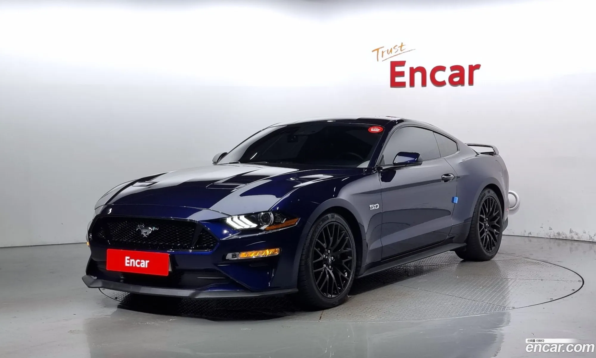 Ford Mustang Gt Coupe - фотография 17276467