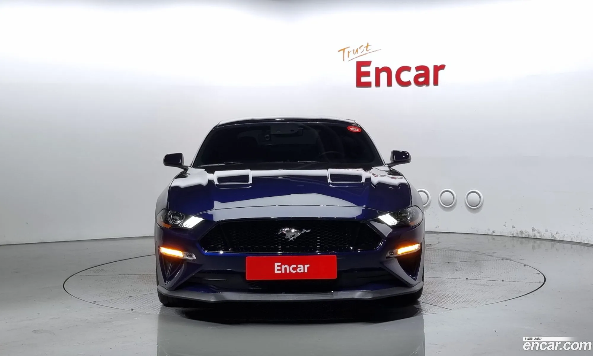 Ford Mustang Gt Coupe - фотография 17276469