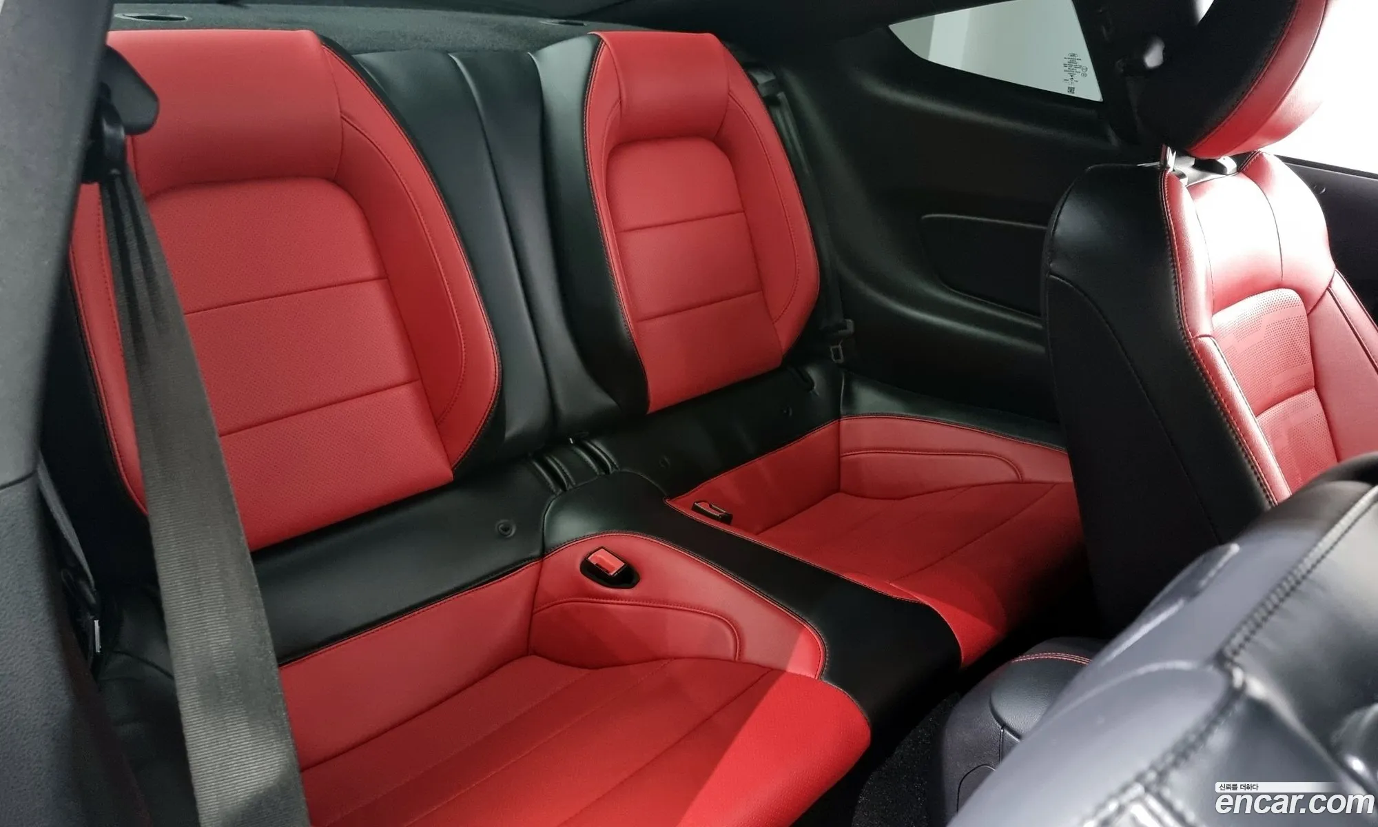 Korex Auto Trade - фотография 17327113