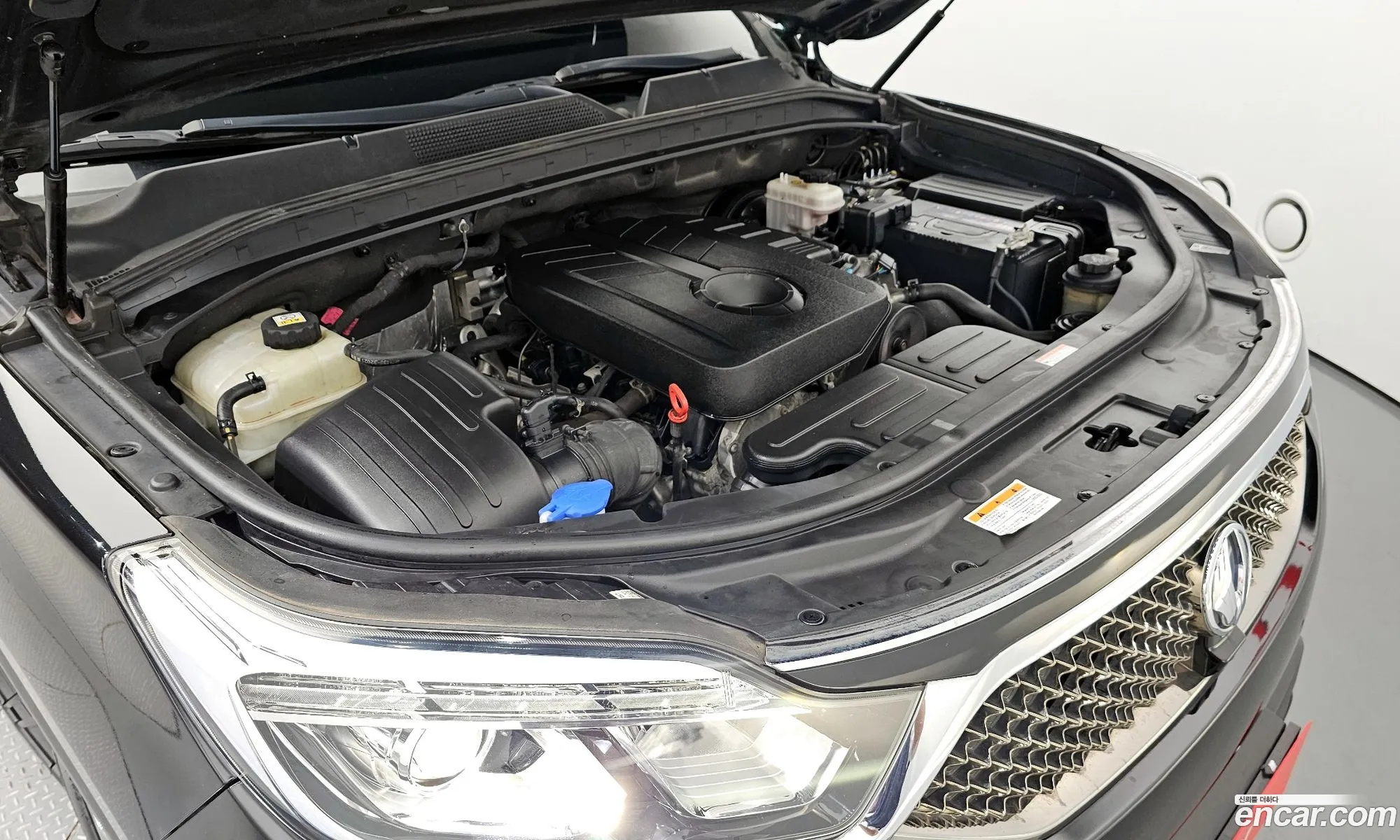 Kg Mobility Ssangyong G4 Rexton Diesel 22 4Wd Eurasia Edition - фотография 4874296