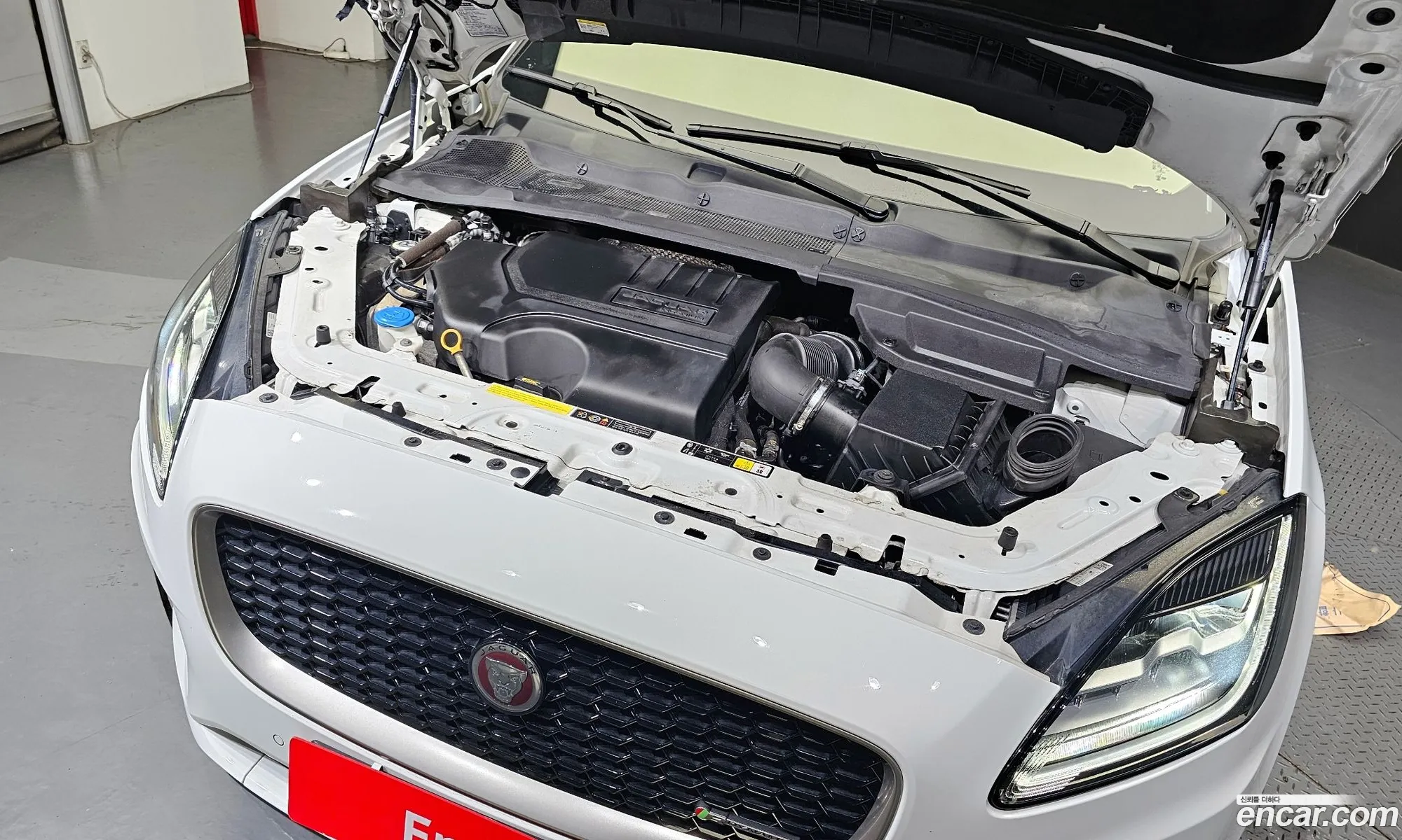 Jaguar E-Pace P250 R-Dynamic Se - фотография 4482449