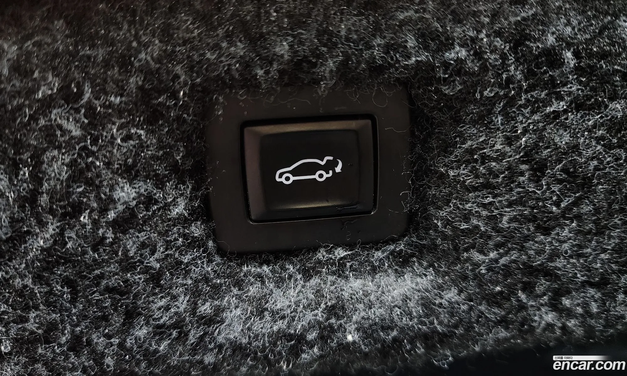 Korex Auto Trade - фотография 4801143