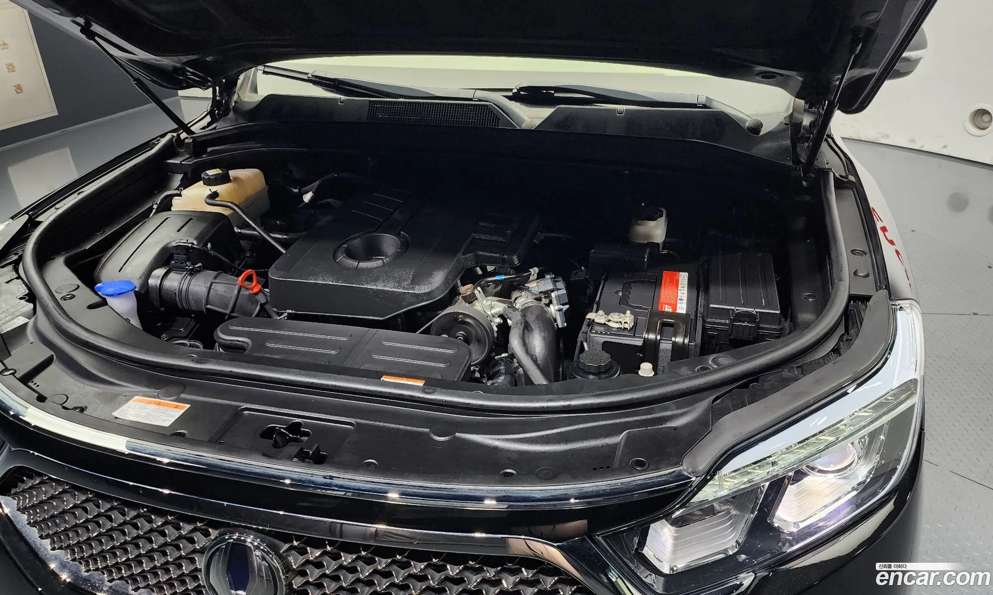Kg Mobility Ssangyong G4 Rexton Diesel 22 4Wd Eurasia Edition - фотография 4692644
