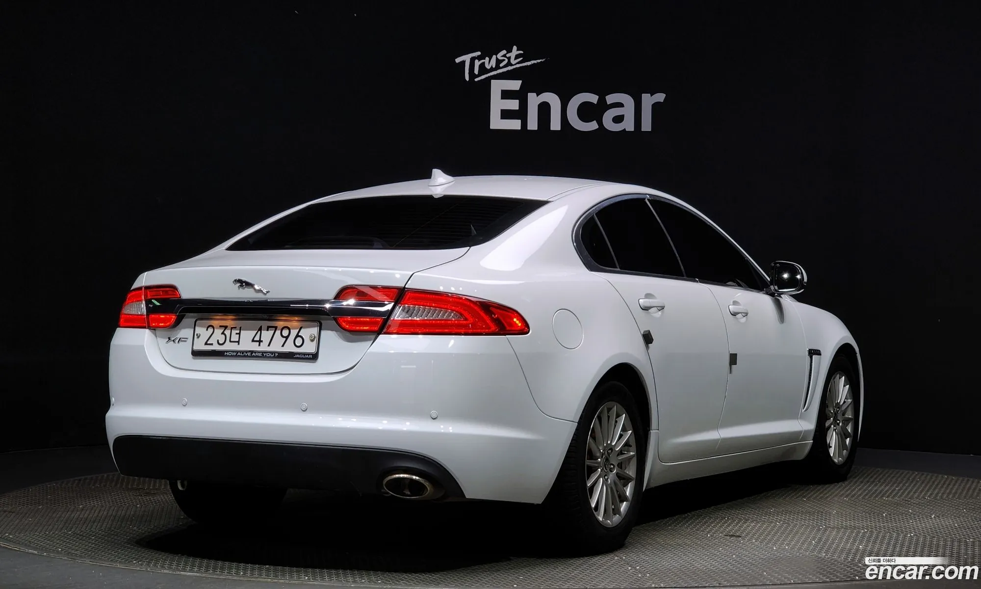 Jaguar New Xf 22D Luxury X250 - фотография 4482458
