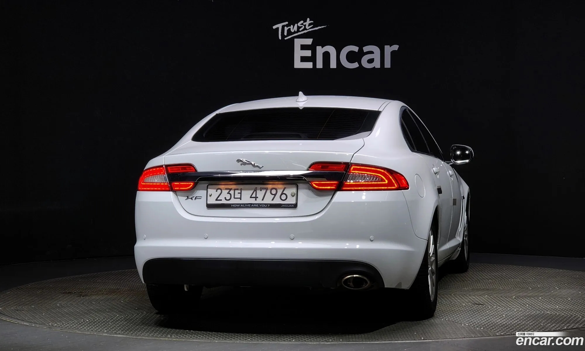 Jaguar New Xf 22D Luxury X250 - фотография 4482460