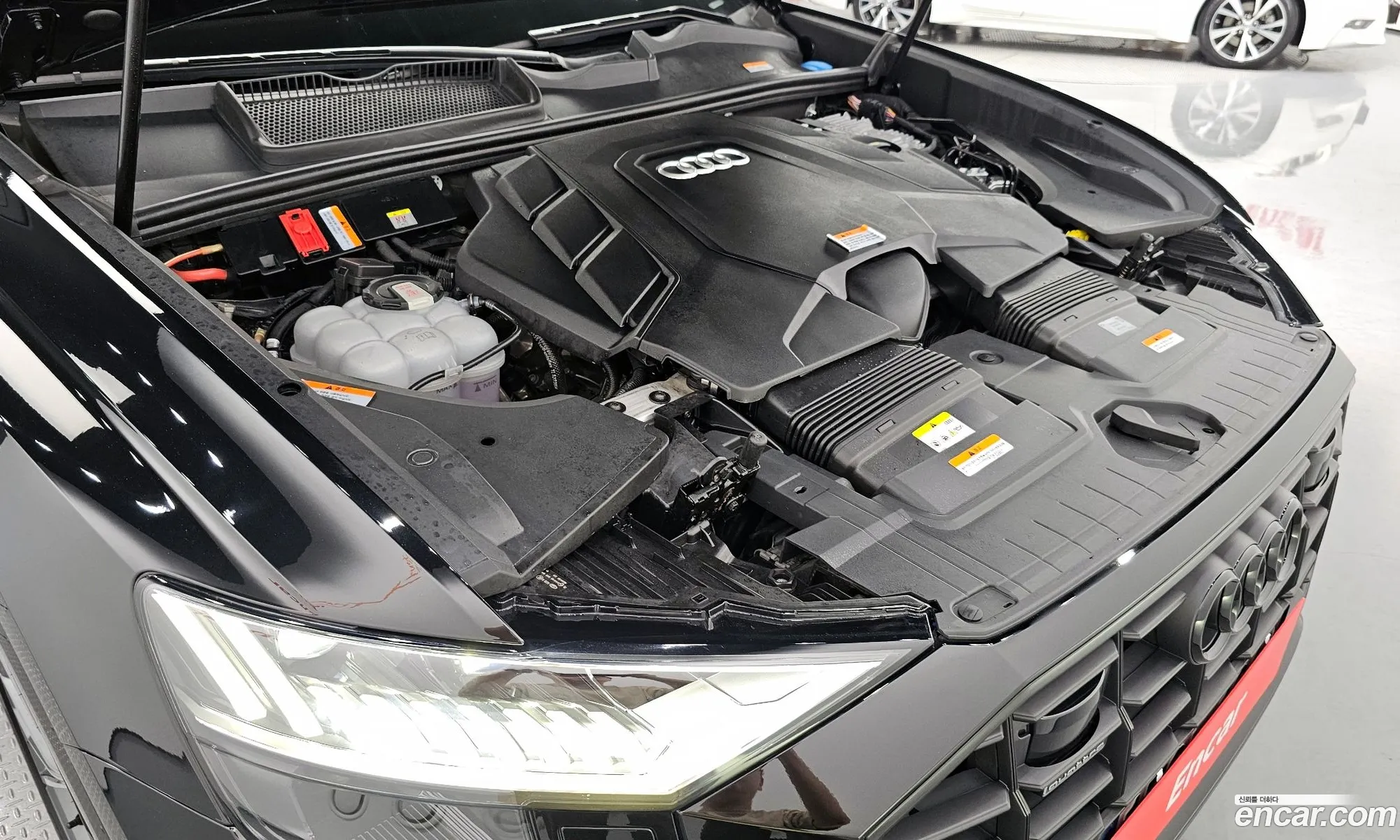 Audi Q8 4M 55 Tfsi Quattro Premium - фотография 12592633