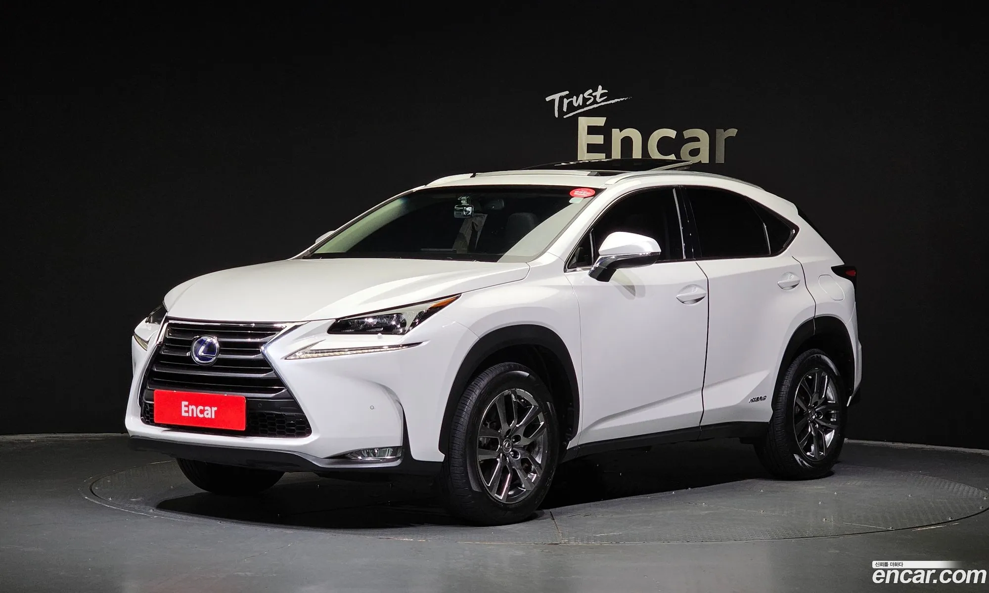 Lexus Nx300H Supreme - фотография 6353483