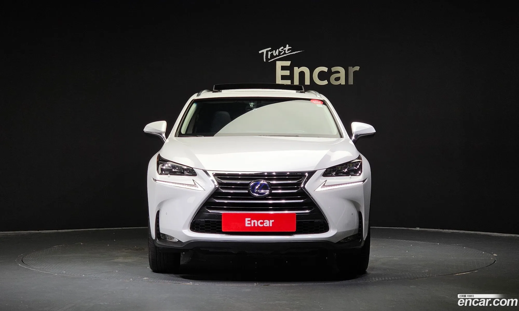 Lexus Nx300H Supreme - фотография 6353485